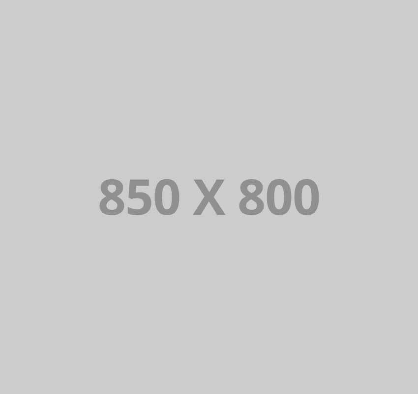 pofo 850x800-ph